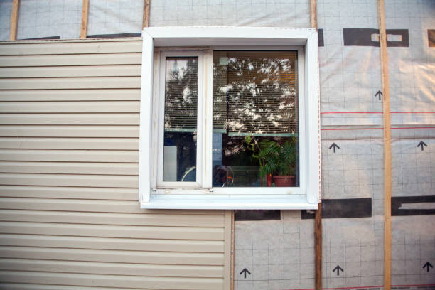 Best Historical Building Siding Restoration  in Mount Prospect, IL