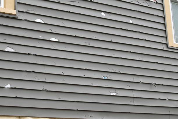 Professional Siding Installation & Repair in Mount Prospect, IL