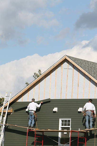 Best Weatherproofing and Sealing  in Mount Prospect, IL