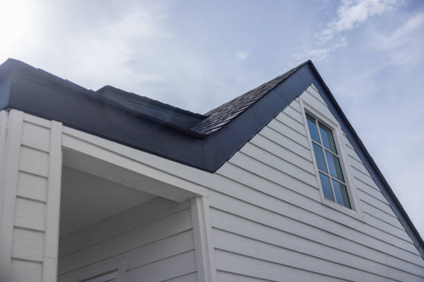 Best Custom Siding Design  in Mount Prospect, IL